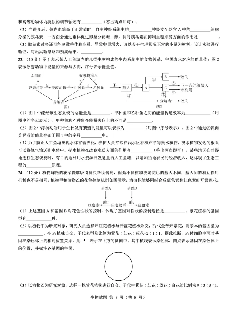 名校教研联盟2025届高考模拟试题训练（样卷）生物试题_2024-2025高三（6-6月题库）_2024年09月试卷_0904名校教研联盟2025届高考模拟试题训练（样卷）