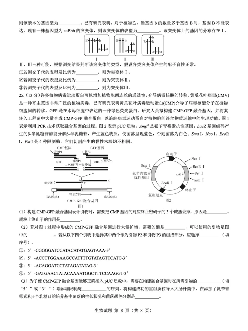 名校教研联盟2025届高考模拟试题训练（样卷）生物试题_2024-2025高三（6-6月题库）_2024年09月试卷_0904名校教研联盟2025届高考模拟试题训练（样卷）