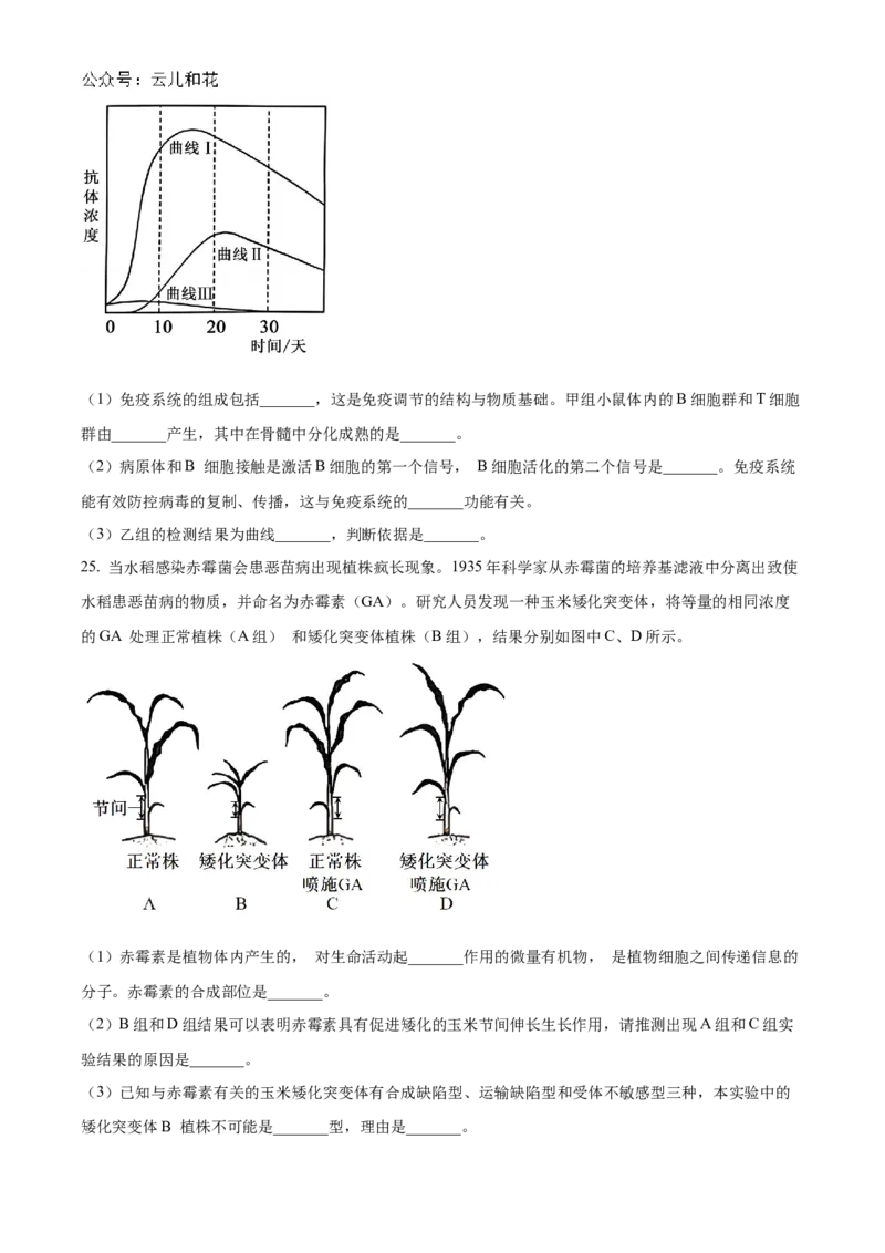 山东省聊城市2024-2025学年高二上学期11月期中生物试题Word版无答案_2024-2025高二（7-7月题库）_2024年12月试卷_1202山东省聊城市2024-2025学年高二上学期11月期中考试