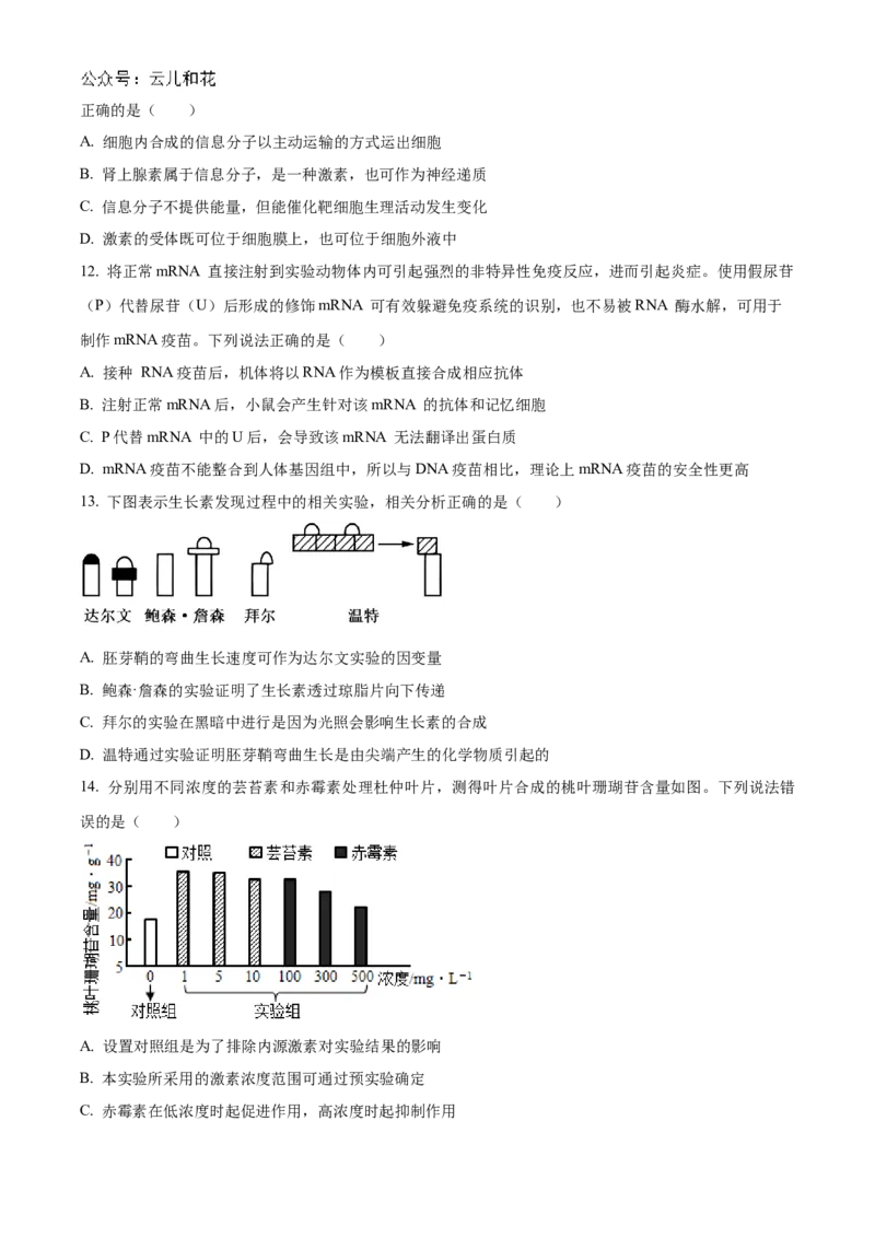 山东省聊城市2024-2025学年高二上学期11月期中生物试题Word版无答案_2024-2025高二（7-7月题库）_2024年12月试卷_1202山东省聊城市2024-2025学年高二上学期11月期中考试