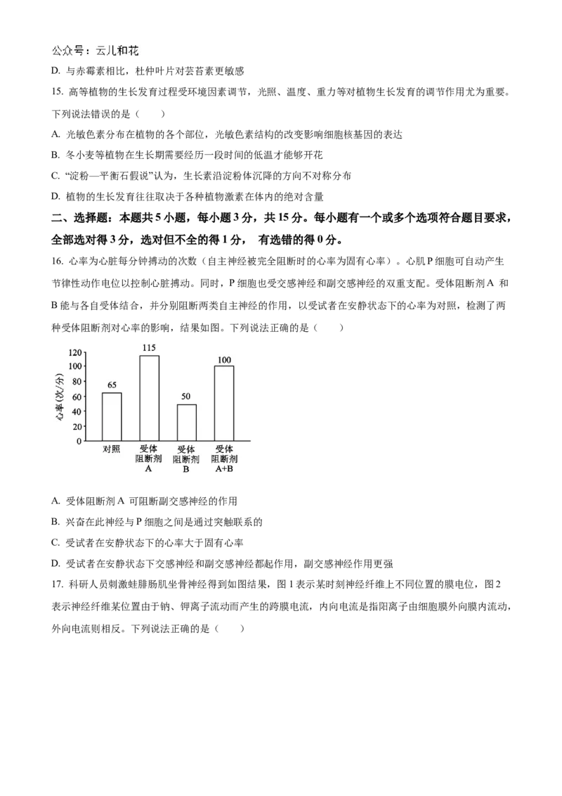 山东省聊城市2024-2025学年高二上学期11月期中生物试题Word版无答案_2024-2025高二（7-7月题库）_2024年12月试卷_1202山东省聊城市2024-2025学年高二上学期11月期中考试