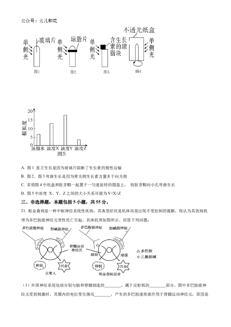 山东省聊城市2024-2025学年高二上学期11月期中生物试题Word版无答案_2024-2025高二（7-7月题库）_2024年12月试卷_1202山东省聊城市2024-2025学年高二上学期11月期中考试