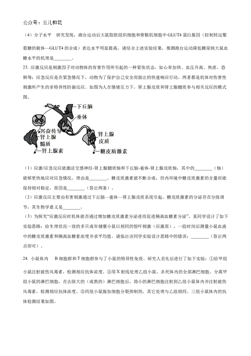 山东省聊城市2024-2025学年高二上学期11月期中生物试题Word版无答案_2024-2025高二（7-7月题库）_2024年12月试卷_1202山东省聊城市2024-2025学年高二上学期11月期中考试