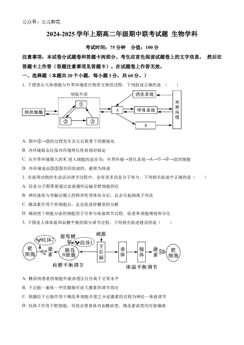 河南省郑州市十校联考2024-2025学年高二上学期11月期中生物试题Word版无答案_2024-2025高二（7-7月题库）_2024年12月试卷_1205河南省郑州市十校联考2024-2025学年高二上学期11月期中考试