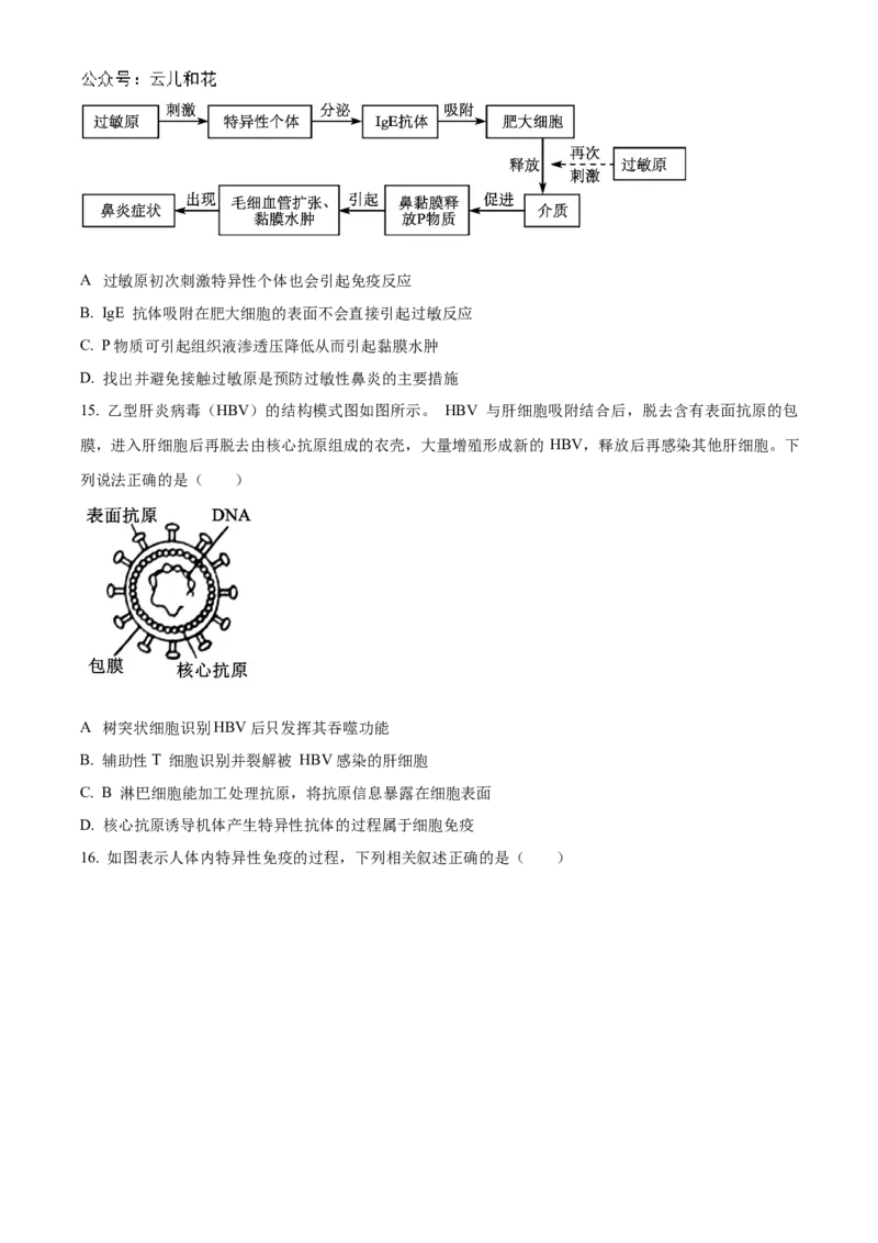 河南省郑州市十校联考2024-2025学年高二上学期11月期中生物试题Word版无答案_2024-2025高二（7-7月题库）_2024年12月试卷_1205河南省郑州市十校联考2024-2025学年高二上学期11月期中考试