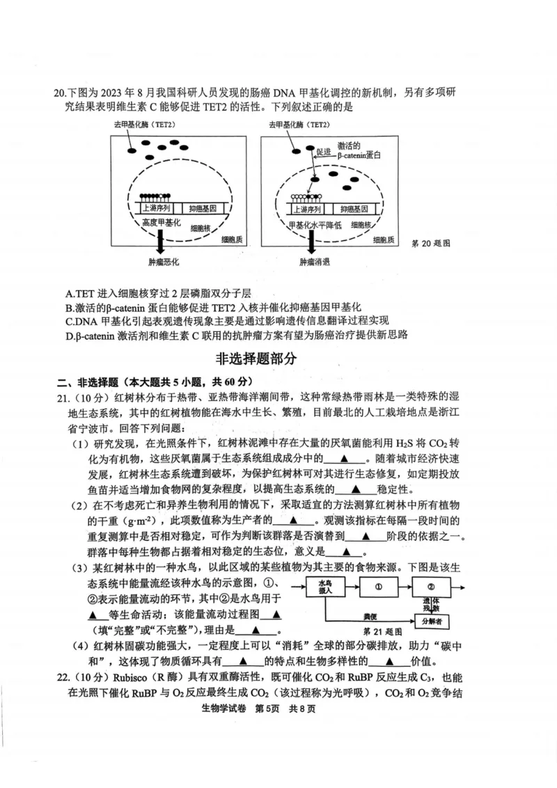 生物卷-2311宁波一模(1)_2023年11月_0211月合集_2024届浙江省宁波市高三上学期选考模拟考试（宁波一模）_浙江省宁波市2024届高三上学期选考模拟考试（宁波一模）生物