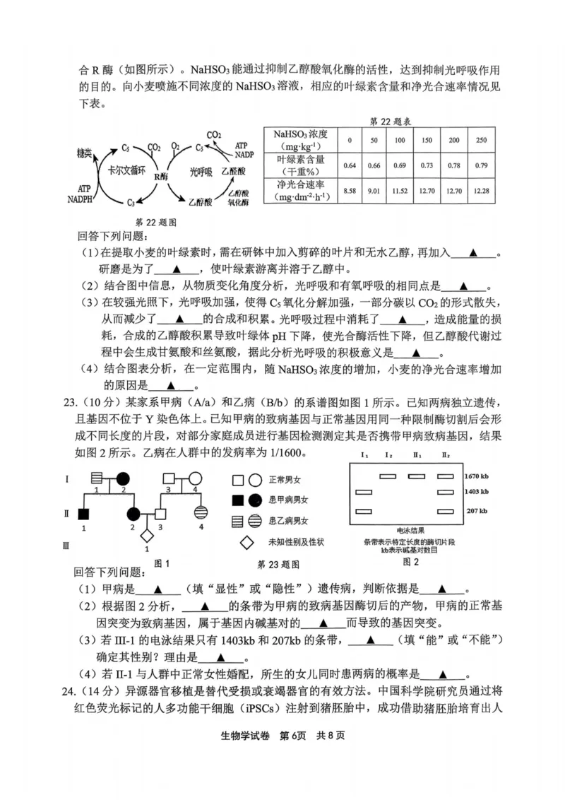生物卷-2311宁波一模(1)_2023年11月_0211月合集_2024届浙江省宁波市高三上学期选考模拟考试（宁波一模）_浙江省宁波市2024届高三上学期选考模拟考试（宁波一模）生物