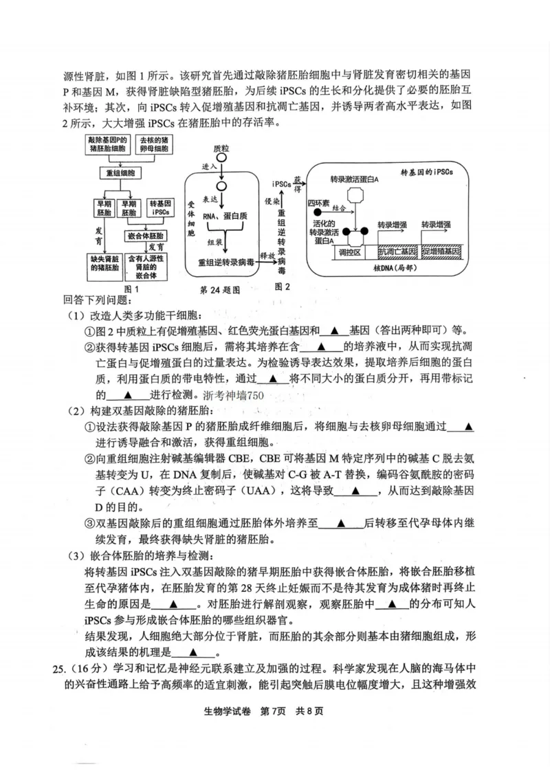 生物卷-2311宁波一模(1)_2023年11月_0211月合集_2024届浙江省宁波市高三上学期选考模拟考试（宁波一模）_浙江省宁波市2024届高三上学期选考模拟考试（宁波一模）生物