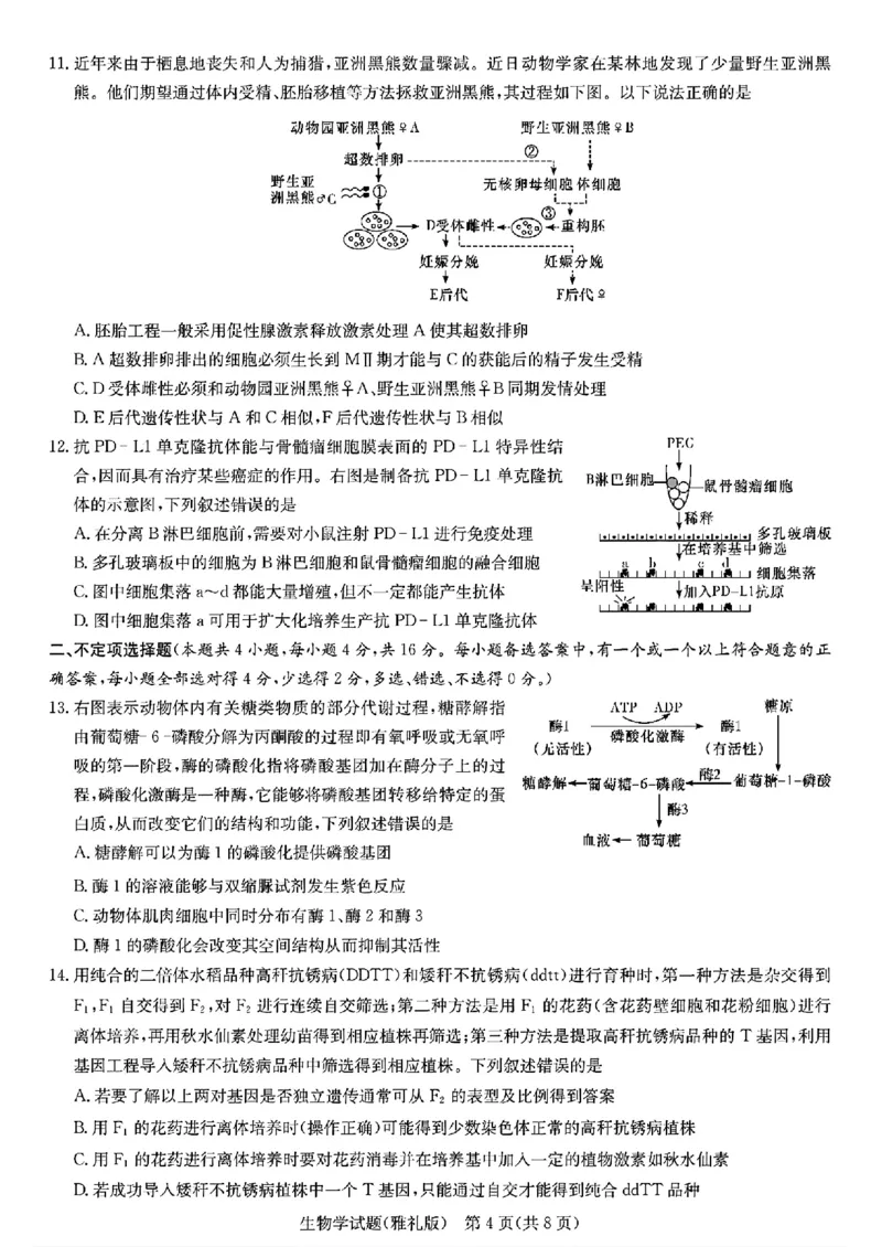 生物学_2024年4月_01按日期_24号_2024届湖南长沙雅礼中学高三下学期月考（八）_湖南省长沙市雅礼中学2023-2024学年高三下学期月考（八）生物
