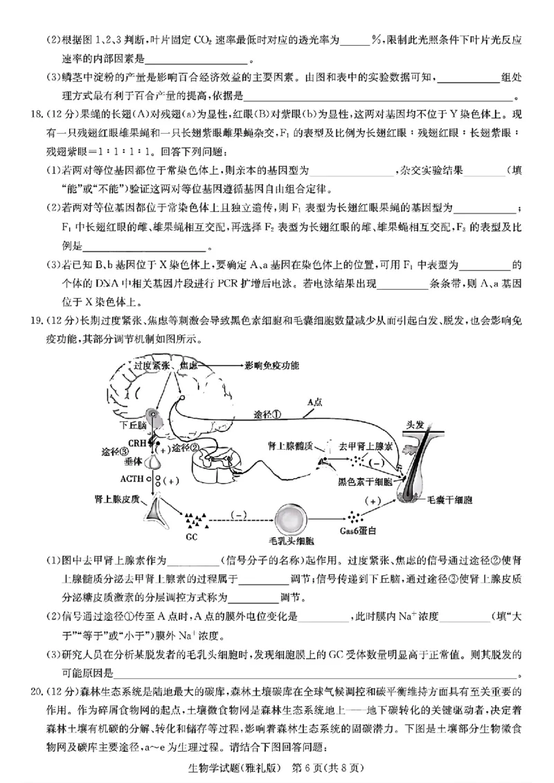 生物学_2024年4月_01按日期_24号_2024届湖南长沙雅礼中学高三下学期月考（八）_湖南省长沙市雅礼中学2023-2024学年高三下学期月考（八）生物