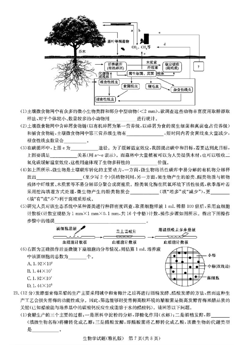 生物学_2024年4月_01按日期_24号_2024届湖南长沙雅礼中学高三下学期月考（八）_湖南省长沙市雅礼中学2023-2024学年高三下学期月考（八）生物