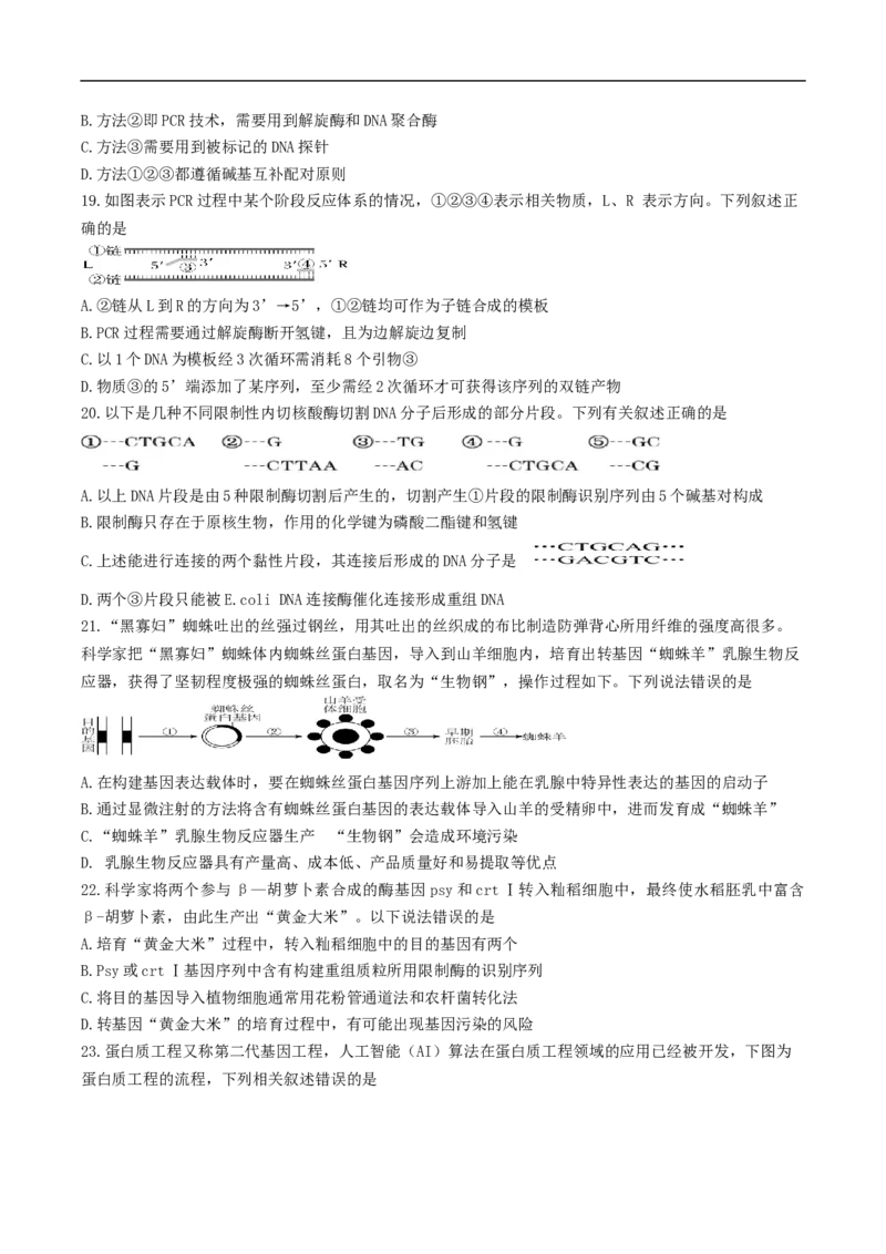 四川省绵阳南山中学实验学校2024-2025学年高二下学期5月期中生物试卷（有答案）_2024-2025高二（7-7月题库）_2025年6月试卷_0609四川省绵阳南山中学实验学校2024-2025学年高二下学期5月期中