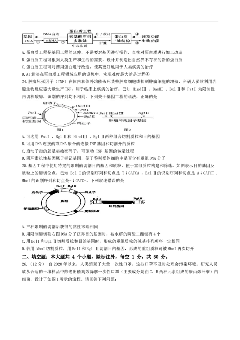 四川省绵阳南山中学实验学校2024-2025学年高二下学期5月期中生物试卷（有答案）_2024-2025高二（7-7月题库）_2025年6月试卷_0609四川省绵阳南山中学实验学校2024-2025学年高二下学期5月期中