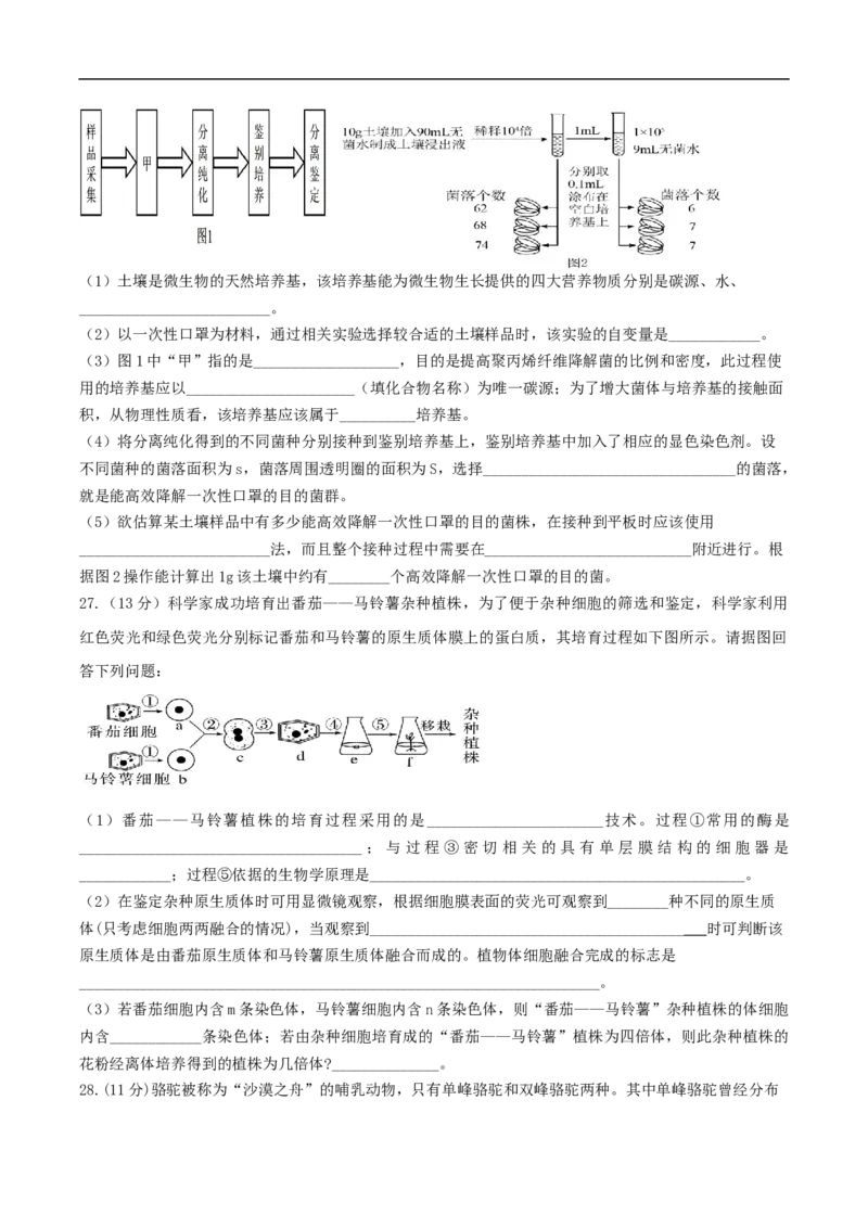 四川省绵阳南山中学实验学校2024-2025学年高二下学期5月期中生物试卷（有答案）_2024-2025高二（7-7月题库）_2025年6月试卷_0609四川省绵阳南山中学实验学校2024-2025学年高二下学期5月期中
