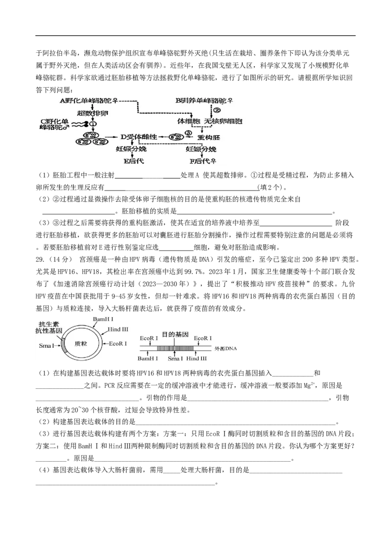 四川省绵阳南山中学实验学校2024-2025学年高二下学期5月期中生物试卷（有答案）_2024-2025高二（7-7月题库）_2025年6月试卷_0609四川省绵阳南山中学实验学校2024-2025学年高二下学期5月期中