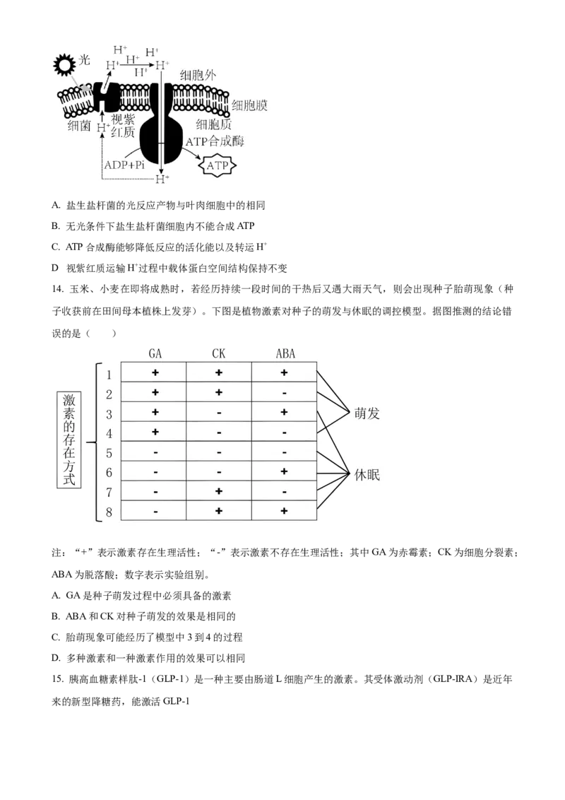 精品解析：广东省东莞市四中2023-2024学年高三10月月考生物试题（原卷版）(1)_2023年11月_0211月合集_2024届广东省东莞市第四高级中学高三上学期10月月考