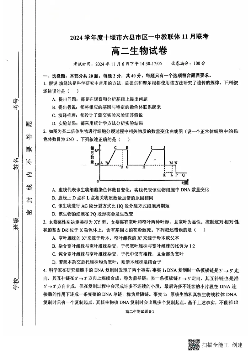 湖北省十堰市六县市区一中教联体2024-2025学年高二上学期11月联考试题生物PDF版含答案_2024-2025高二（7-7月题库）_2024年11月试卷