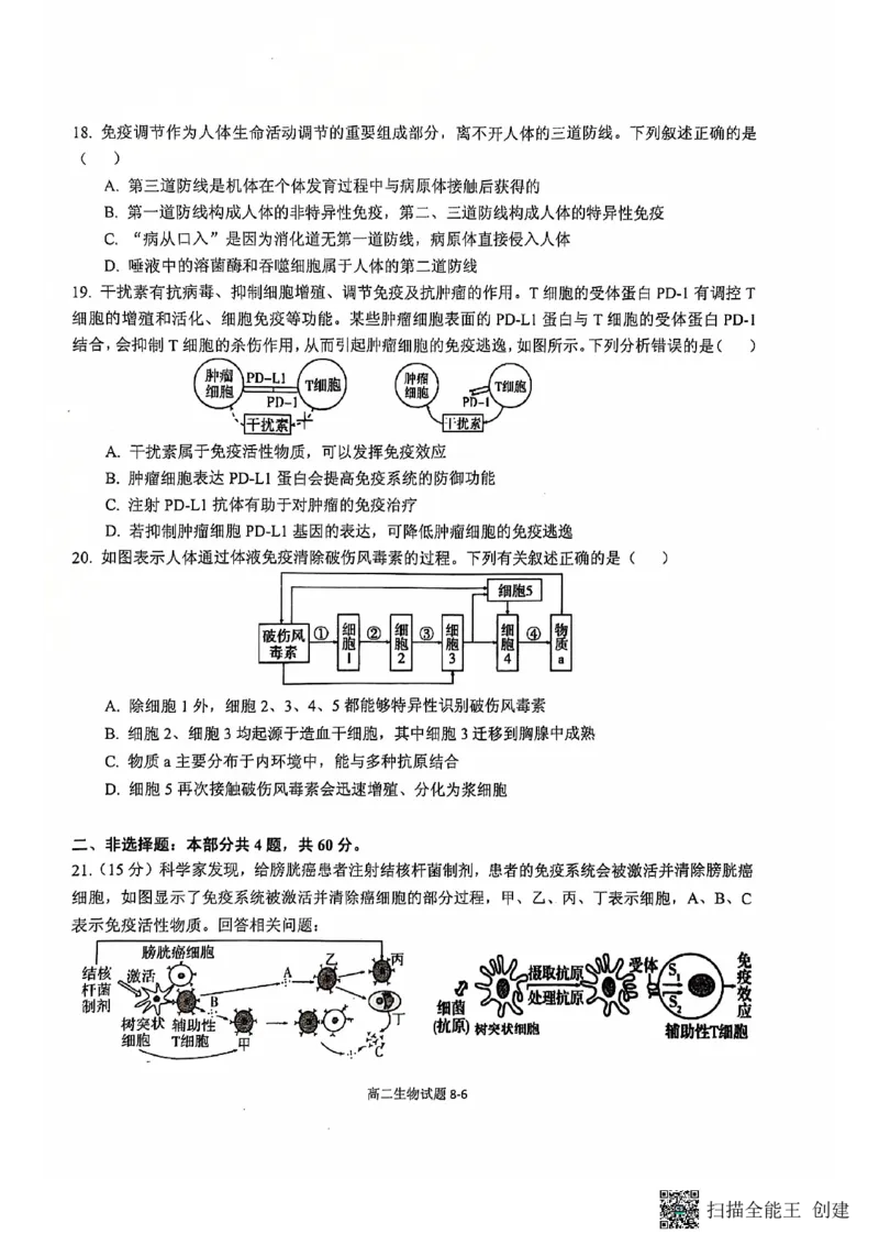 湖北省十堰市六县市区一中教联体2024-2025学年高二上学期11月联考试题生物PDF版含答案_2024-2025高二（7-7月题库）_2024年11月试卷