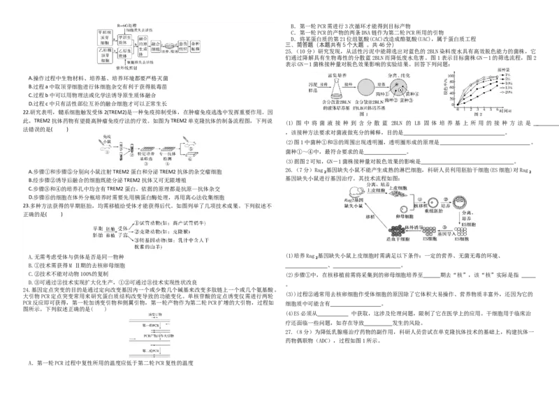 河北省邯郸市武安市第一中学2024-2025学年高二下学期4月期中生物试题_2024-2025高二（7-7月题库）_2025年05月试卷_0517河北省邯郸市武安市第一中学2024-2025学年高二下学期4月期中考试