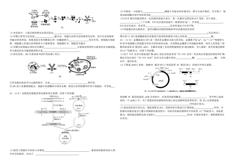河北省邯郸市武安市第一中学2024-2025学年高二下学期4月期中生物试题_2024-2025高二（7-7月题库）_2025年05月试卷_0517河北省邯郸市武安市第一中学2024-2025学年高二下学期4月期中考试