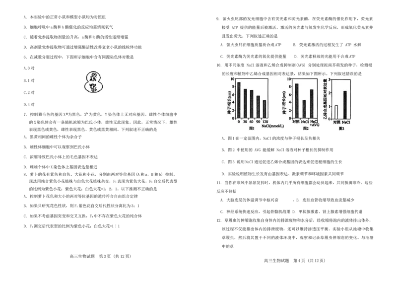 山东省泰安市肥城市2024-2025学年高三上学期开学考试生物试题+答案_2024-2025高三（6-6月题库）_2024年09月试卷_0916山东省泰安市肥城市2024-2025学年高三上学期开学考试