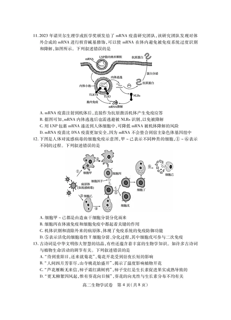 湖北省2024-2025学年高二上学期期末考试生物PDF版含答案_2024-2025高二（7-7月题库）_2025年01月试卷_0123湖北省2024-2025学年高二上学期期末考试