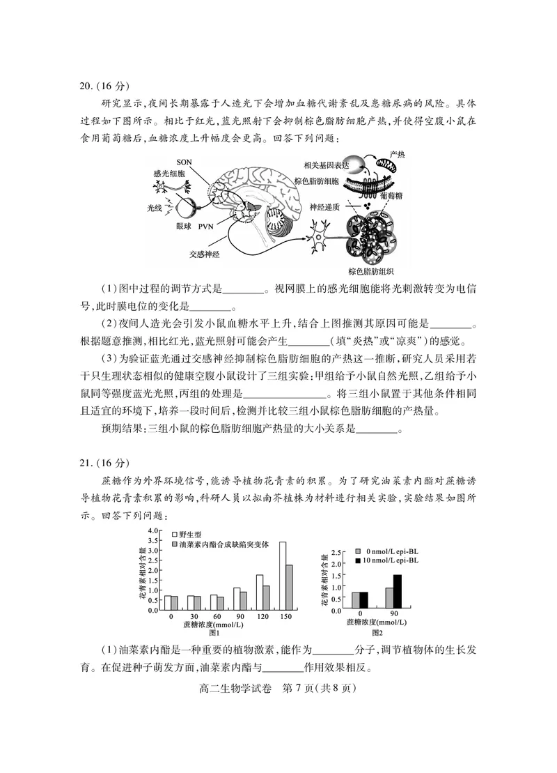 湖北省2024-2025学年高二上学期期末考试生物PDF版含答案_2024-2025高二（7-7月题库）_2025年01月试卷_0123湖北省2024-2025学年高二上学期期末考试