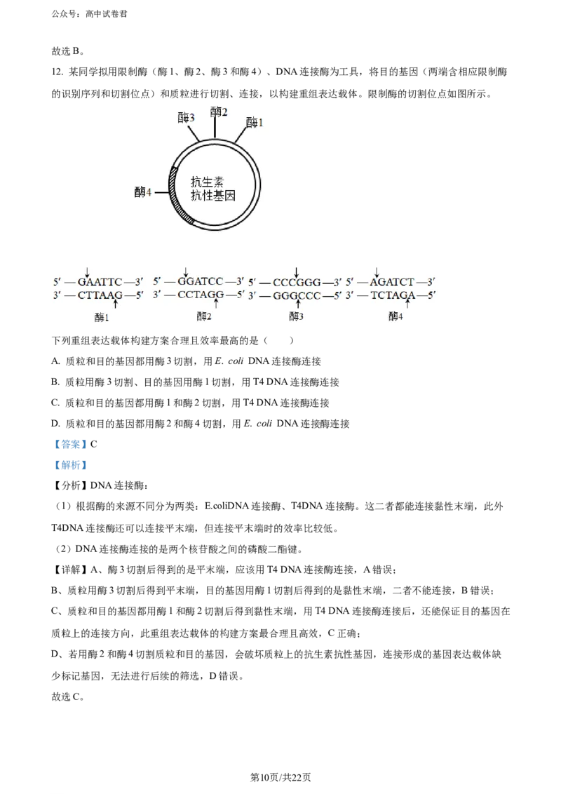 精品解析：河北省石家庄市辛集市2023-2024学年高三2月期末生物试题（解析版）_2024年2月_01每日更新_17号_2024届河北省石家庄市辛集市高三上学期2月期末