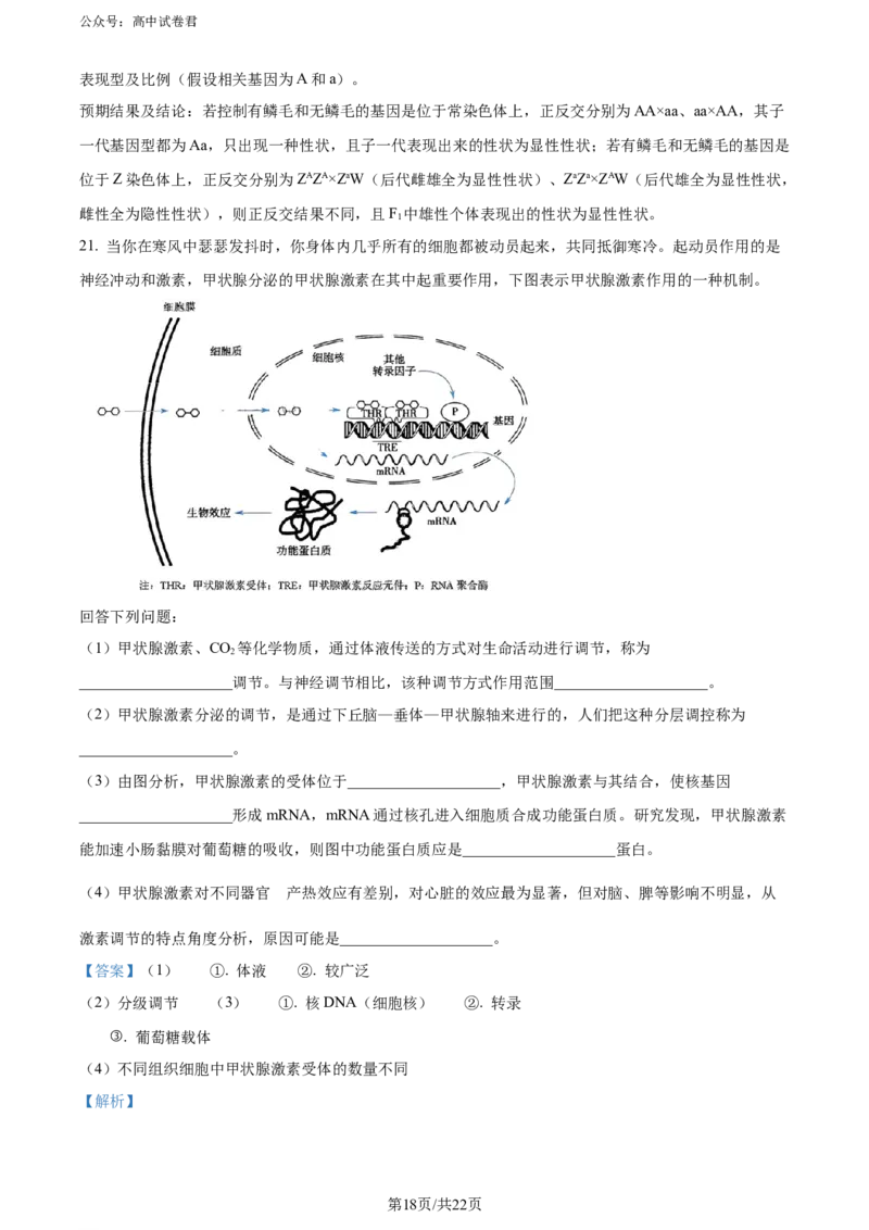 精品解析：河北省石家庄市辛集市2023-2024学年高三2月期末生物试题（解析版）_2024年2月_01每日更新_17号_2024届河北省石家庄市辛集市高三上学期2月期末