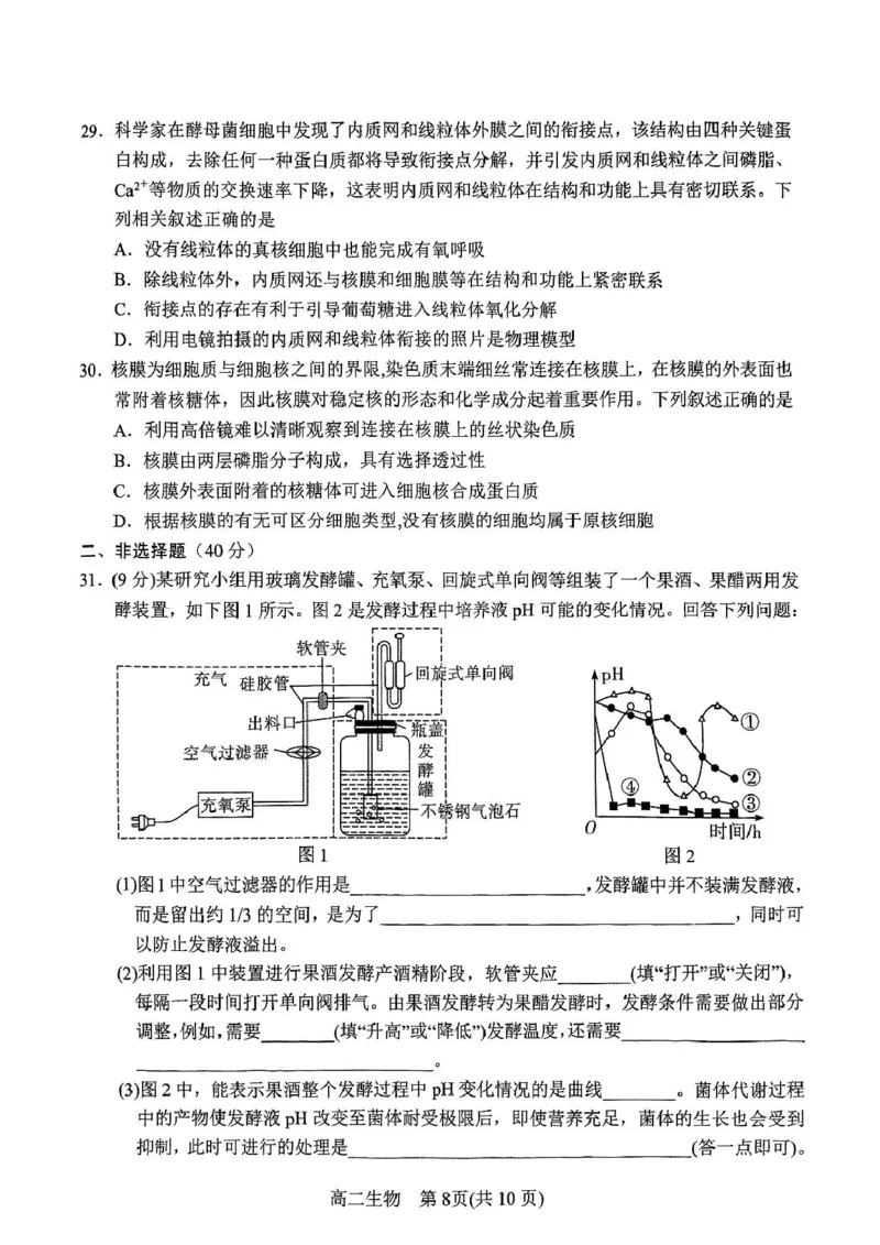 河南省南阳市2024-2025学年高二下学期4月期中考试生物PDF版含答案_2024-2025高二（7-7月题库）_2025年05月试卷_0517河南省南阳市2024-2025学年高二下学期4月期中考试