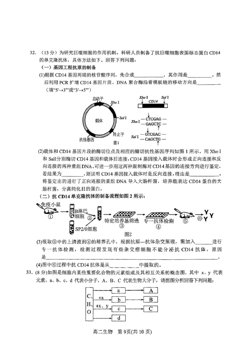 河南省南阳市2024-2025学年高二下学期4月期中考试生物PDF版含答案_2024-2025高二（7-7月题库）_2025年05月试卷_0517河南省南阳市2024-2025学年高二下学期4月期中考试