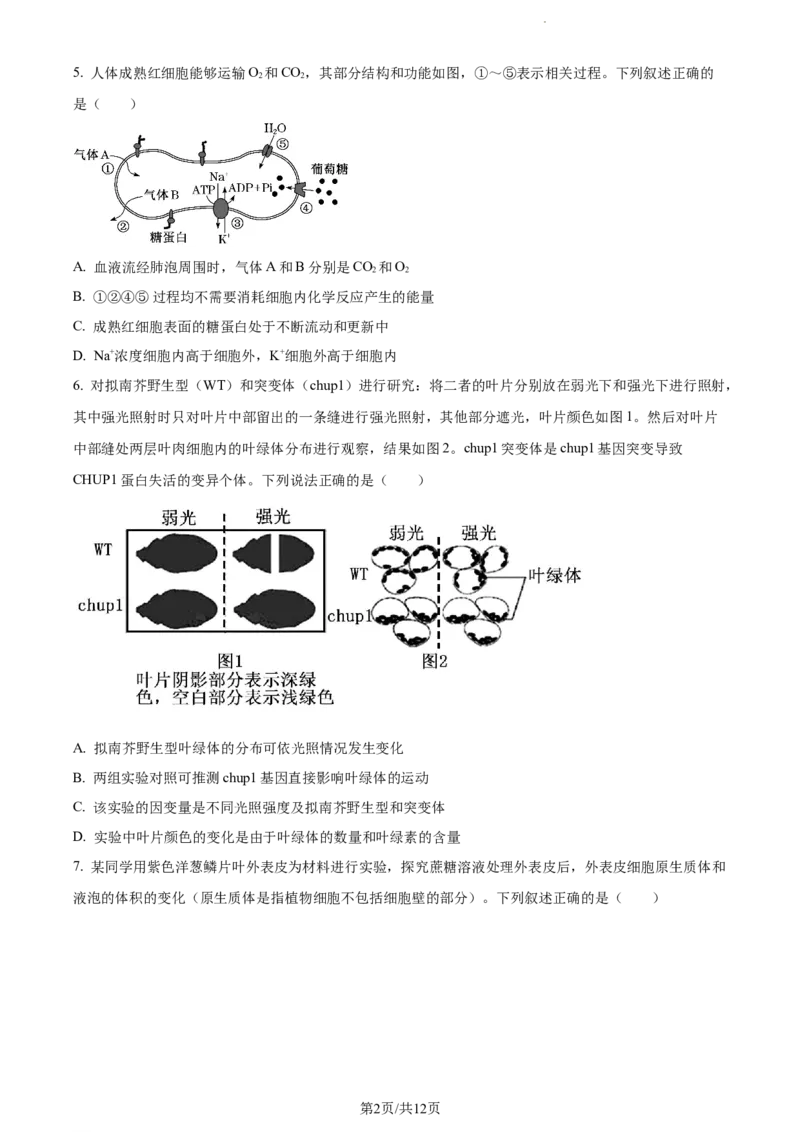 精品解析：辽宁省大连市金州高级中学2023-2024学年高三上学期期中生物试题（原卷版）(1)_2023年11月_0211月合集_2024届辽宁省大连市金州高级中学高三上学期期中考试