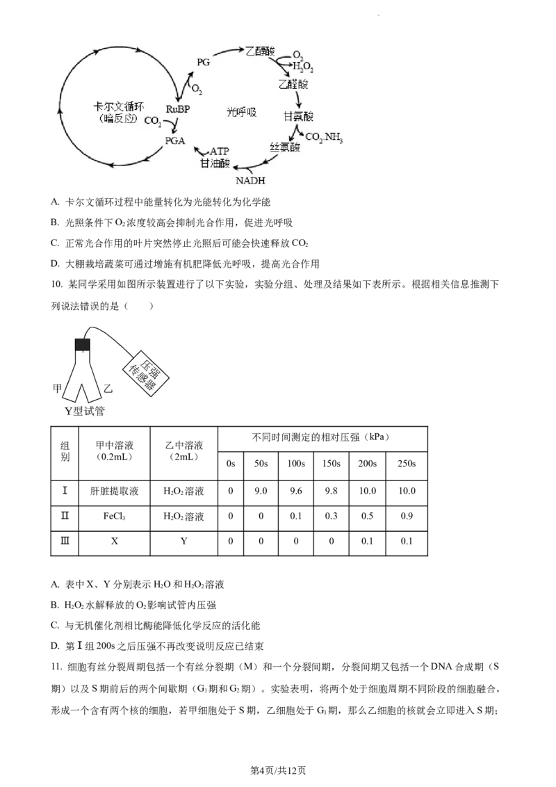 精品解析：辽宁省大连市金州高级中学2023-2024学年高三上学期期中生物试题（原卷版）(1)_2023年11月_0211月合集_2024届辽宁省大连市金州高级中学高三上学期期中考试