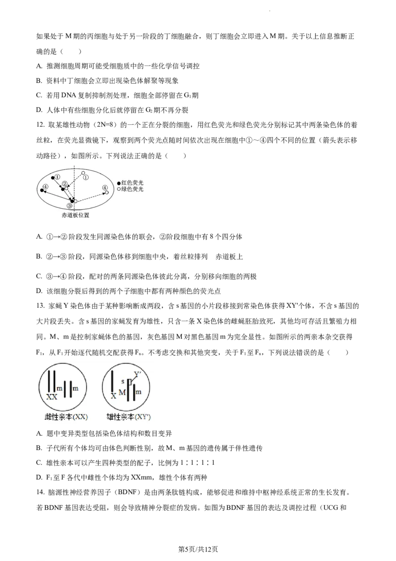 精品解析：辽宁省大连市金州高级中学2023-2024学年高三上学期期中生物试题（原卷版）(1)_2023年11月_0211月合集_2024届辽宁省大连市金州高级中学高三上学期期中考试