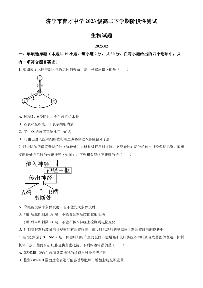 山东省济宁育才中学2024-2025学年高二下学期开学考试生物试题（原卷版）_2024-2025高二（7-7月题库）_2025年03月试卷_0304山东省济宁市育才中学2024-2025学年高二下学期开学考试