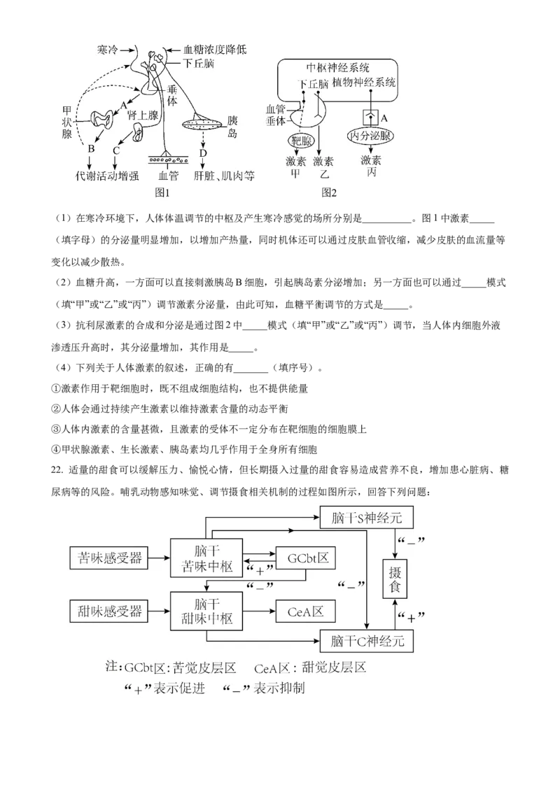 山东省济宁育才中学2024-2025学年高二下学期开学考试生物试题（原卷版）_2024-2025高二（7-7月题库）_2025年03月试卷_0304山东省济宁市育才中学2024-2025学年高二下学期开学考试