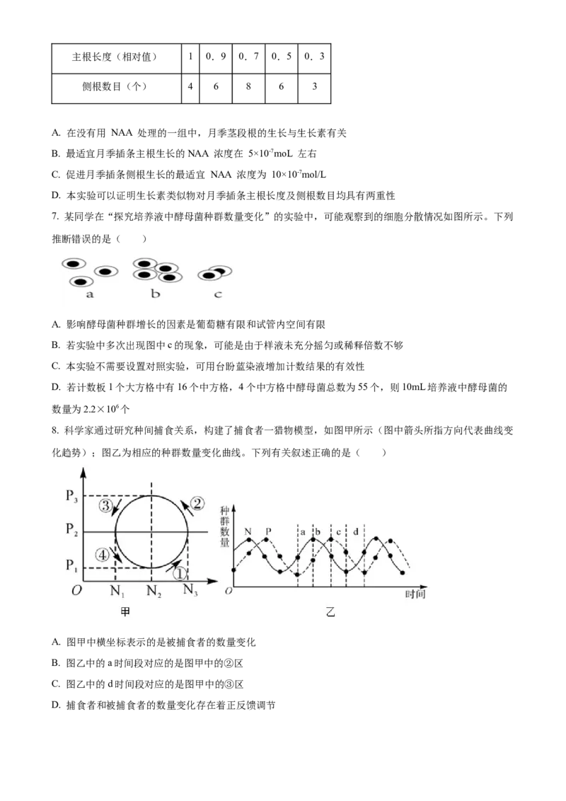 山东省济宁育才中学2024-2025学年高二下学期开学考试生物试题（原卷版）_2024-2025高二（7-7月题库）_2025年03月试卷_0304山东省济宁市育才中学2024-2025学年高二下学期开学考试