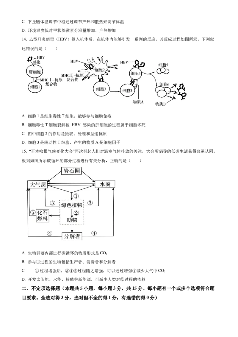 山东省济宁育才中学2024-2025学年高二下学期开学考试生物试题（原卷版）_2024-2025高二（7-7月题库）_2025年03月试卷_0304山东省济宁市育才中学2024-2025学年高二下学期开学考试