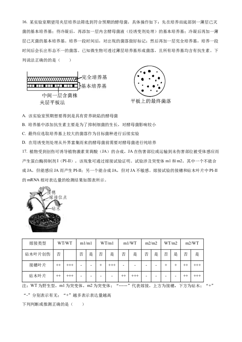 山东省济宁育才中学2024-2025学年高二下学期开学考试生物试题（原卷版）_2024-2025高二（7-7月题库）_2025年03月试卷_0304山东省济宁市育才中学2024-2025学年高二下学期开学考试