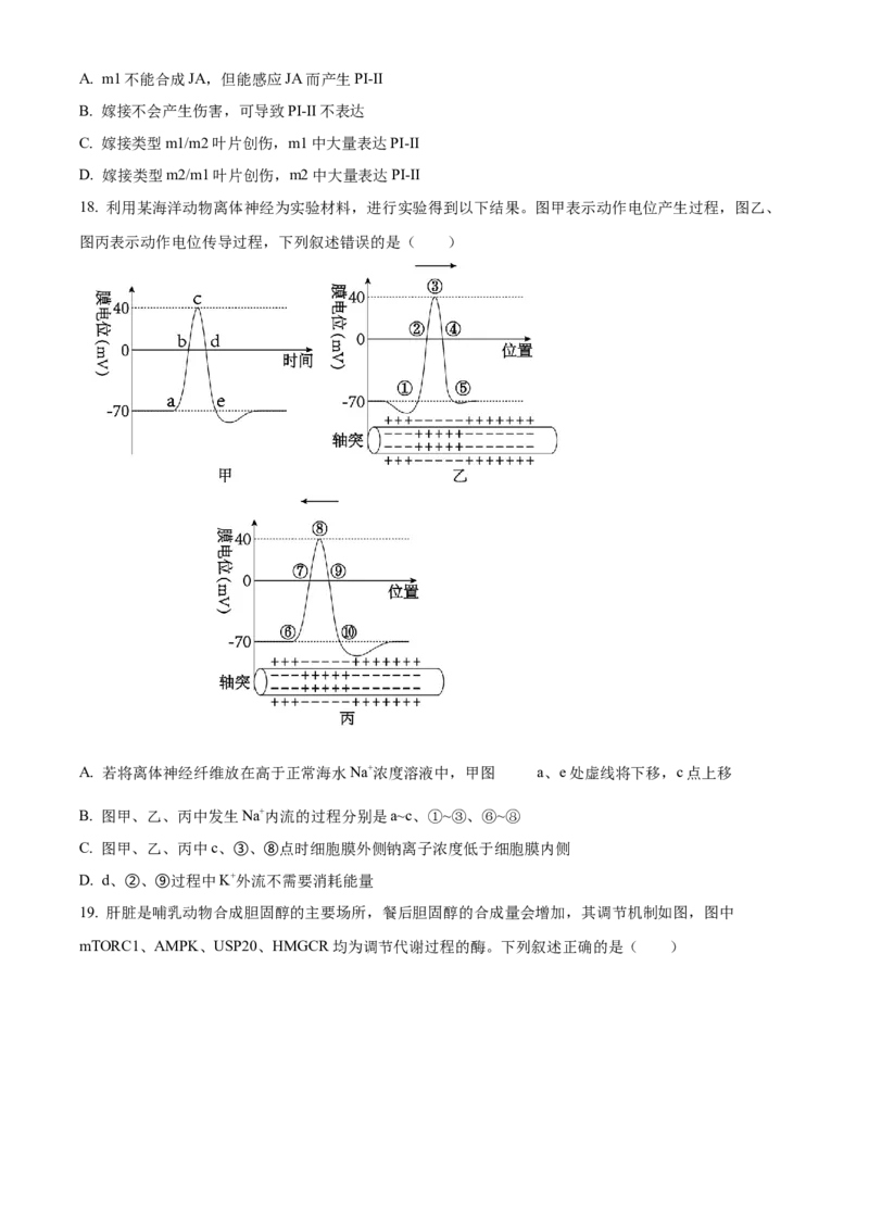 山东省济宁育才中学2024-2025学年高二下学期开学考试生物试题（原卷版）_2024-2025高二（7-7月题库）_2025年03月试卷_0304山东省济宁市育才中学2024-2025学年高二下学期开学考试