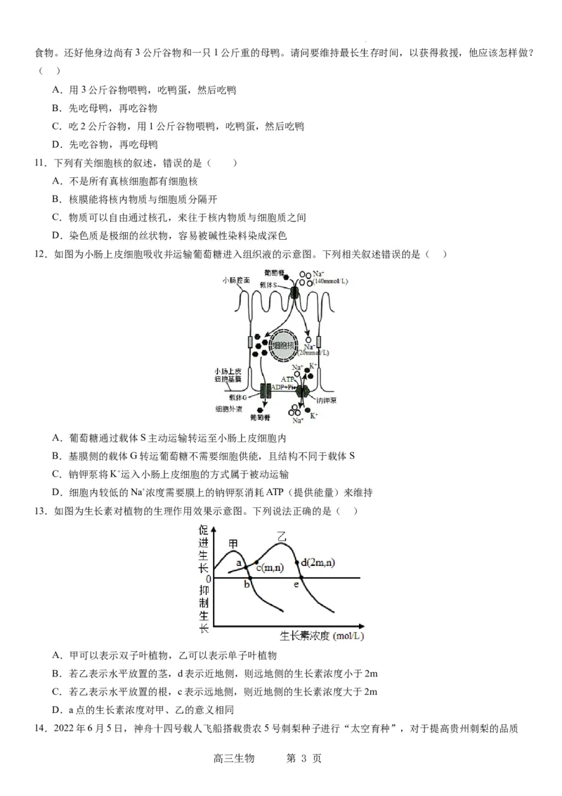 辽宁省实验中学2023-2024学年度高考适应性测试（二）生物_2024年3月_02按日期_16号_2024届辽宁省实验中学高考适应性测试（二）