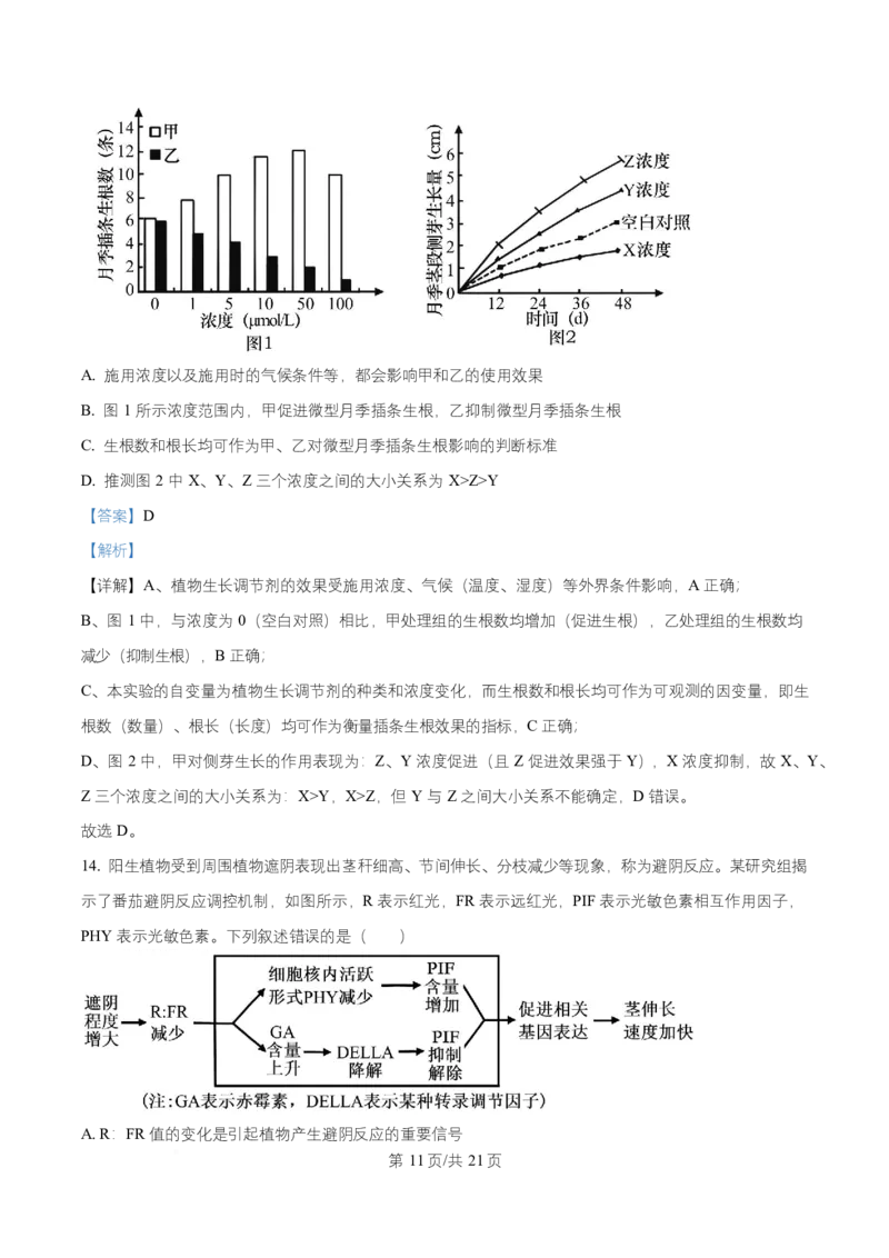 湖北省武汉市武昌区湖北省武昌实验中学2025-2026学年高二上学期12月月考生物试题Word版含解析_2024-2025高二（7-7月题库）_2026年1月高二