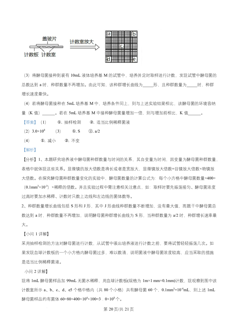 湖北省武汉市武昌区湖北省武昌实验中学2025-2026学年高二上学期12月月考生物试题Word版含解析_2024-2025高二（7-7月题库）_2026年1月高二