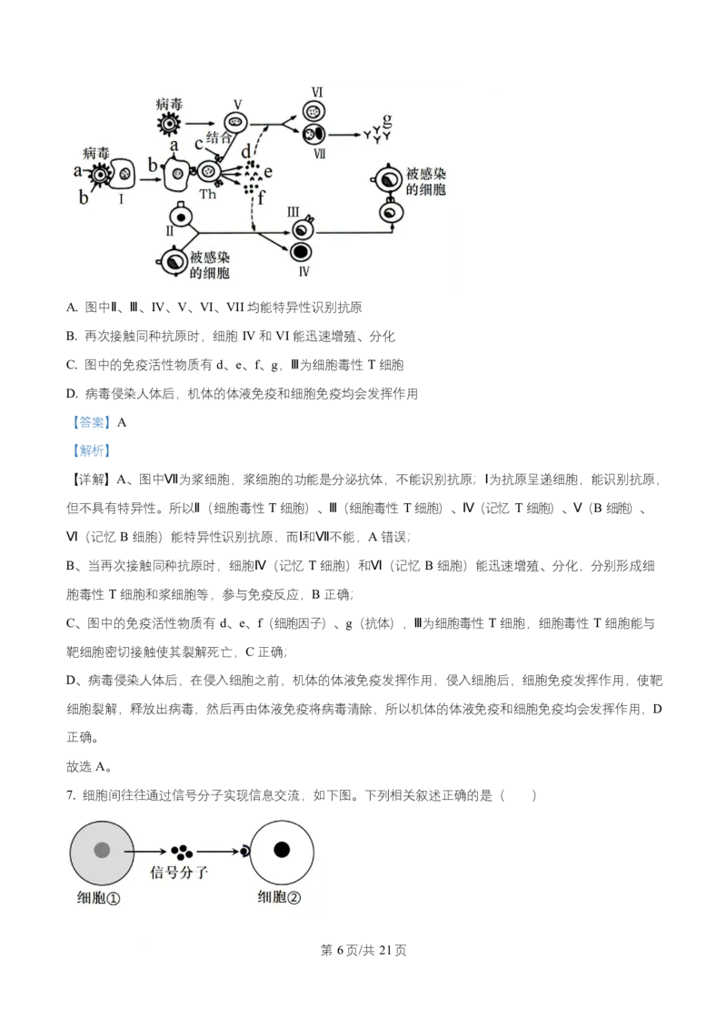湖北省武汉市武昌区湖北省武昌实验中学2025-2026学年高二上学期12月月考生物试题Word版含解析_2024-2025高二（7-7月题库）_2026年1月高二