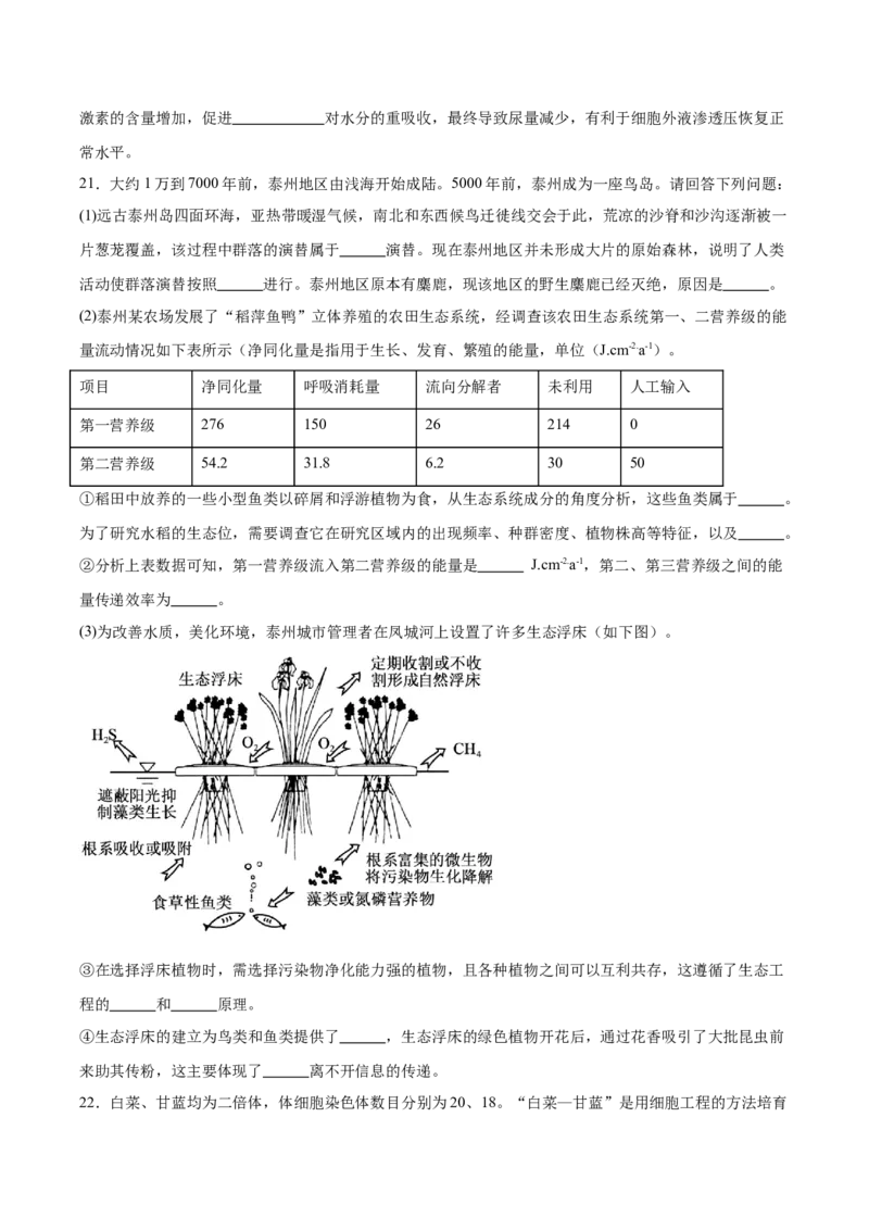 江苏省盐城市五校联考2024-2025学年高二下学期4月期中考试生物试卷（有答案）_2024-2025高二（7-7月题库）_2025年05月试卷_0518江苏省盐城市五校联考2024-2025学年高二下学期4月期中