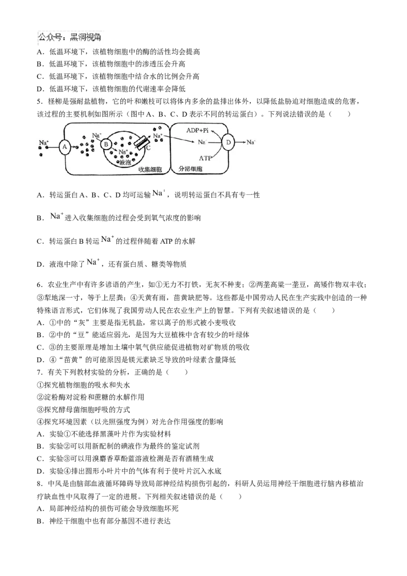 河南省2025届高三上学期联考（二）生物试题Word版含解析_2024-2025高三（6-6月题库）_2024年10月试卷_1010河南省2025届高三上学期联考（二）