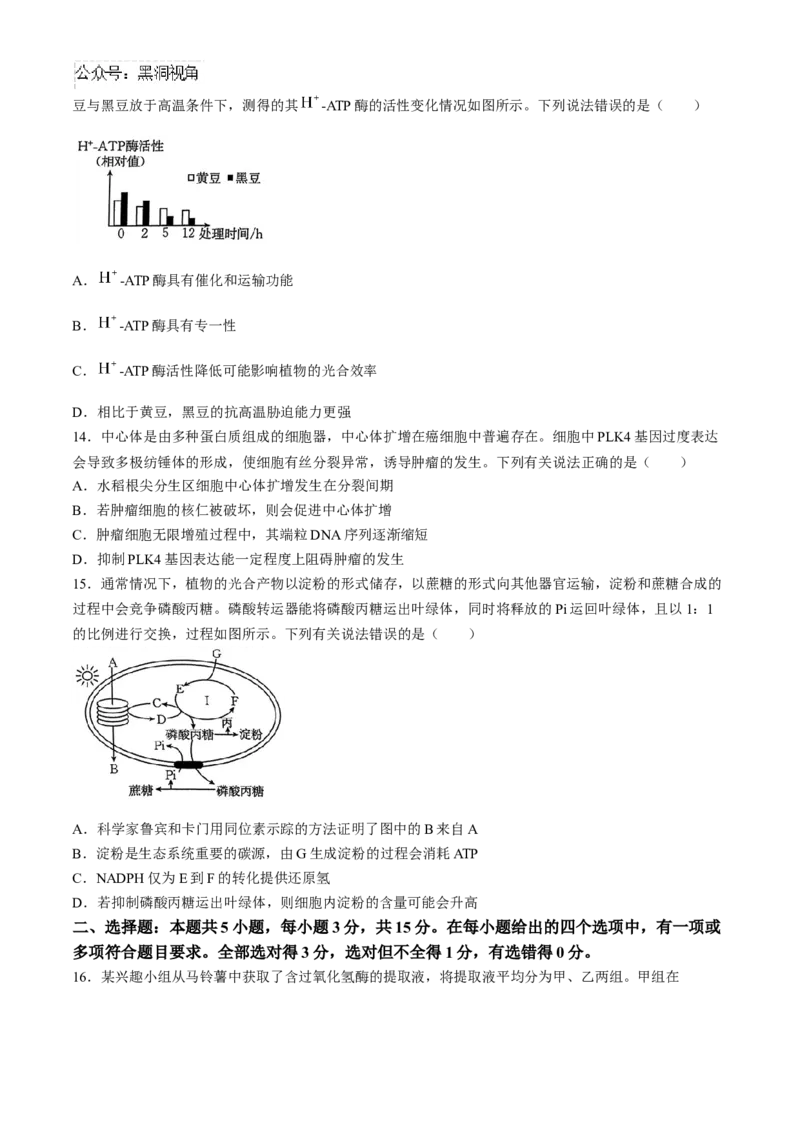 河南省2025届高三上学期联考（二）生物试题Word版含解析_2024-2025高三（6-6月题库）_2024年10月试卷_1010河南省2025届高三上学期联考（二）