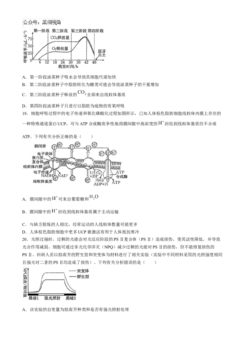 河南省2025届高三上学期联考（二）生物试题Word版含解析_2024-2025高三（6-6月题库）_2024年10月试卷_1010河南省2025届高三上学期联考（二）