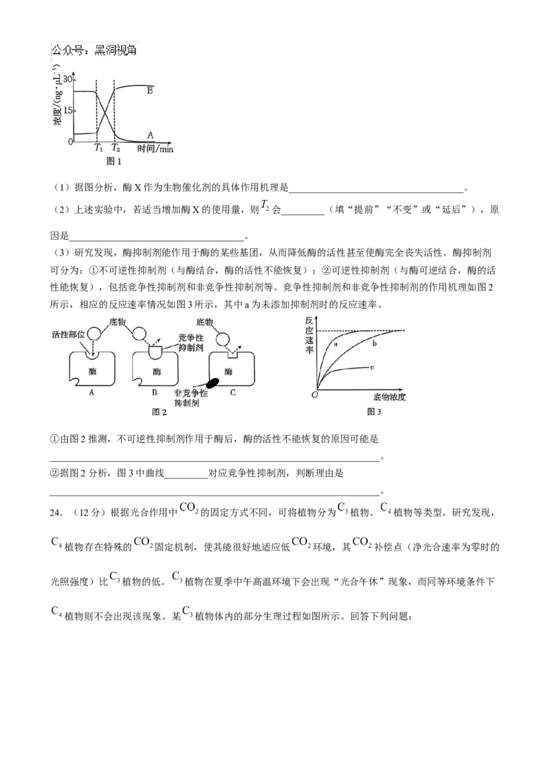 河南省2025届高三上学期联考（二）生物试题Word版含解析_2024-2025高三（6-6月题库）_2024年10月试卷_1010河南省2025届高三上学期联考（二）