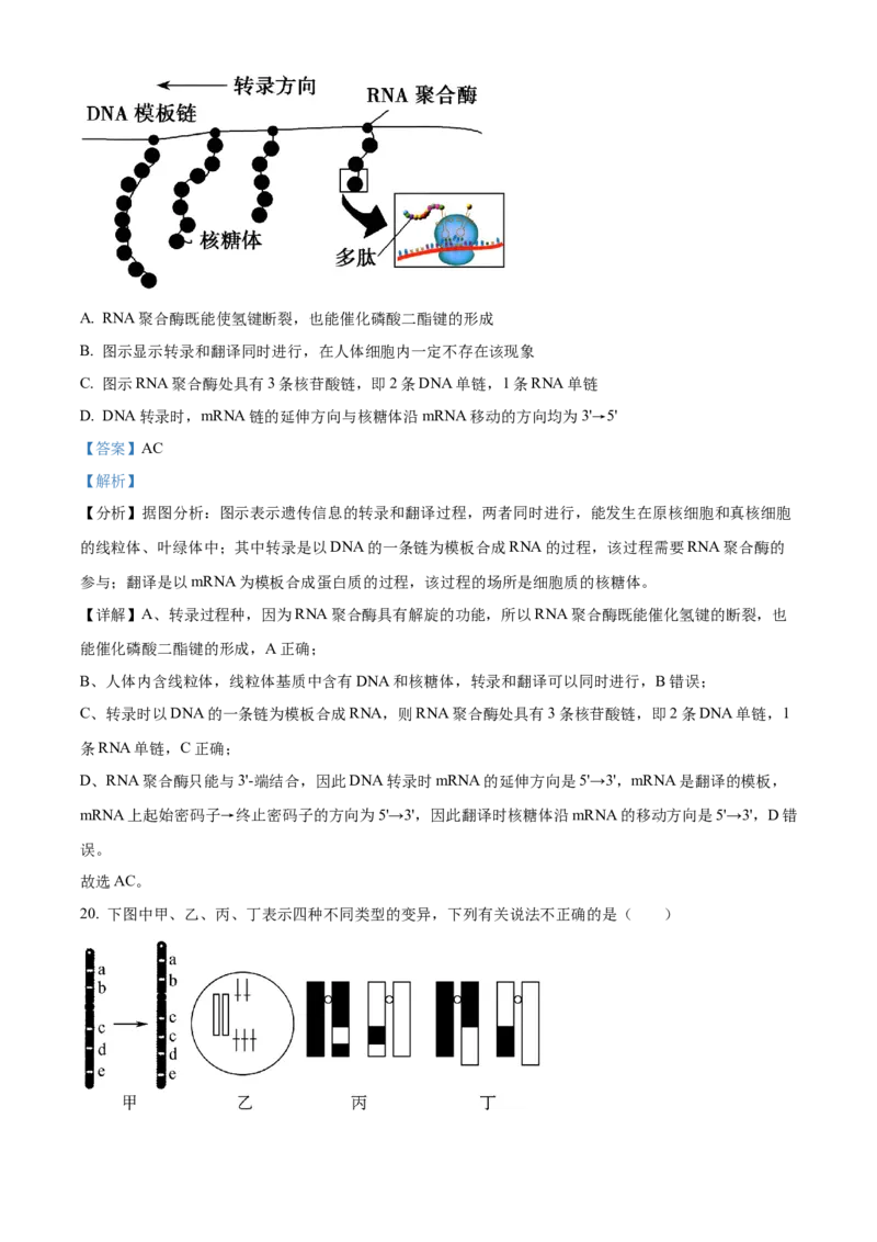 精品解析：黑龙江省大庆实验中学2023-2024学年高三上学期期中生物试题（解析版）(1)_2023年11月_0211月合集_2024届黑龙江省大庆实验中学高三上学期期中考试